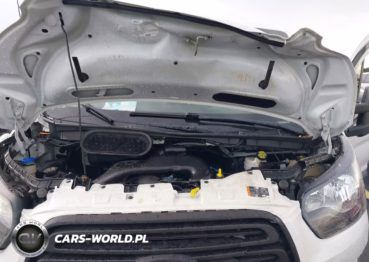 2018 Ford Transit-250 VIN:1FTYR1YM0JKB21087 - 10