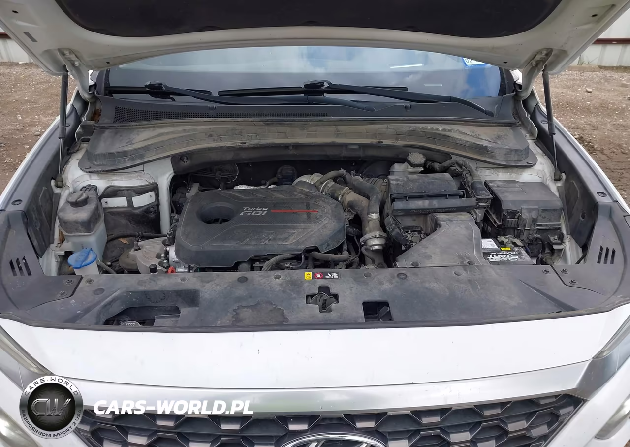 2019 Hyundai Santa Fe Ultimate 2.0T VIN:5NMS53AA1KH029545 - 10