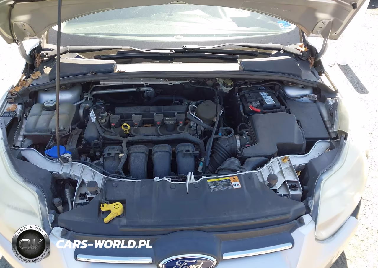 2013 Ford Focus Se VIN:1FADP3K20DL283751 - 10