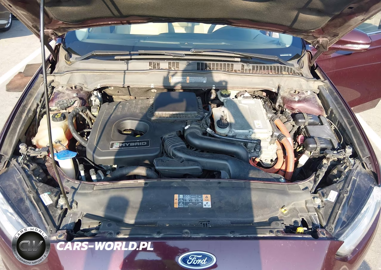 2013 Ford Fusion Hybrid Se VIN:3FA6P0LU8DR387669 - 10