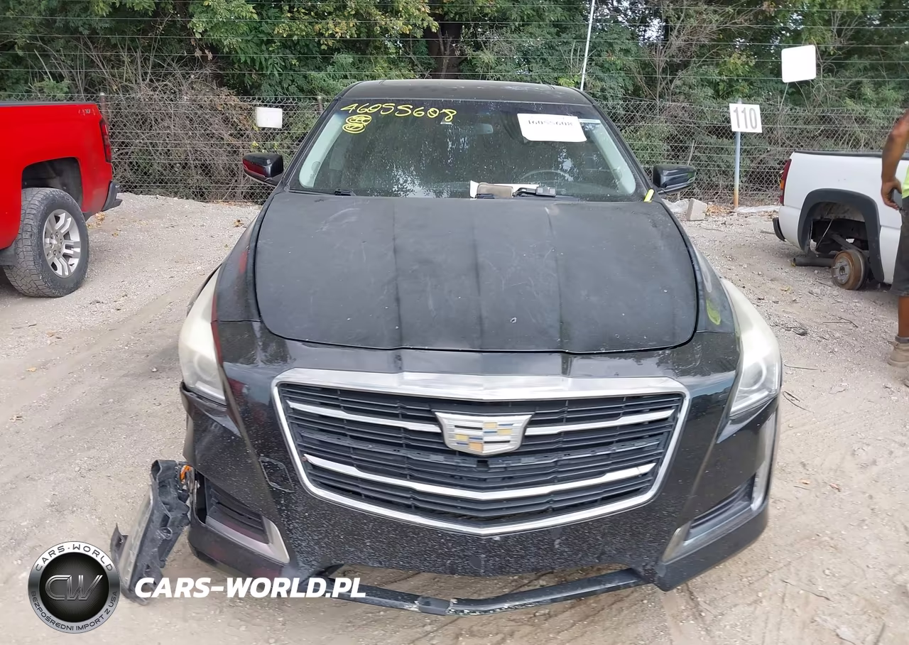 2014 Cadillac Cts Luxury VIN:1G6AX5S35E0119936 - 12