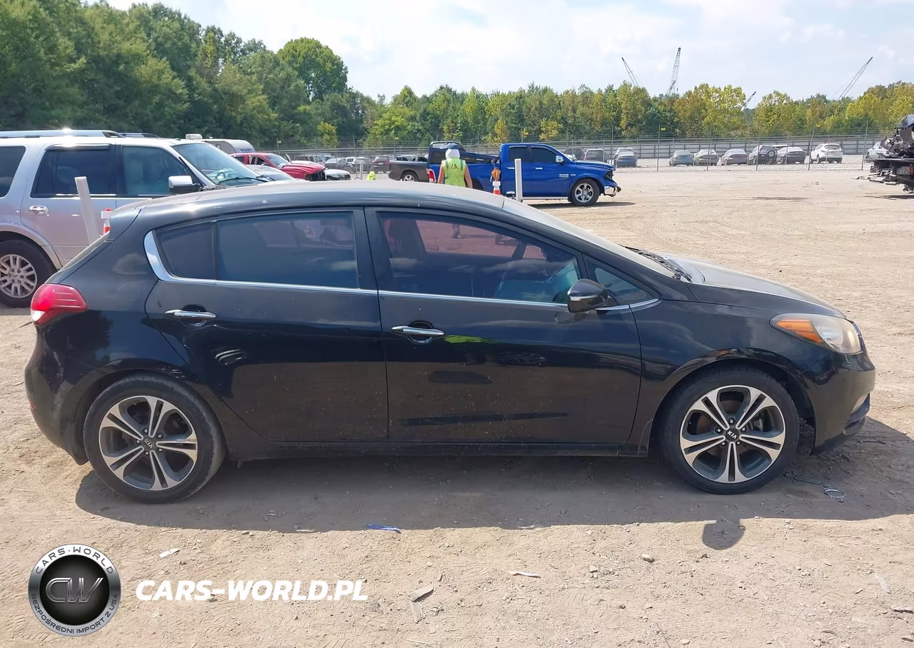 2016 Kia Forte Ex VIN:KNAFX5A89G5493078 - 13