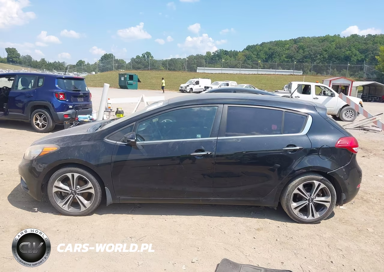 2016 Kia Forte Ex VIN:KNAFX5A89G5493078 - 14