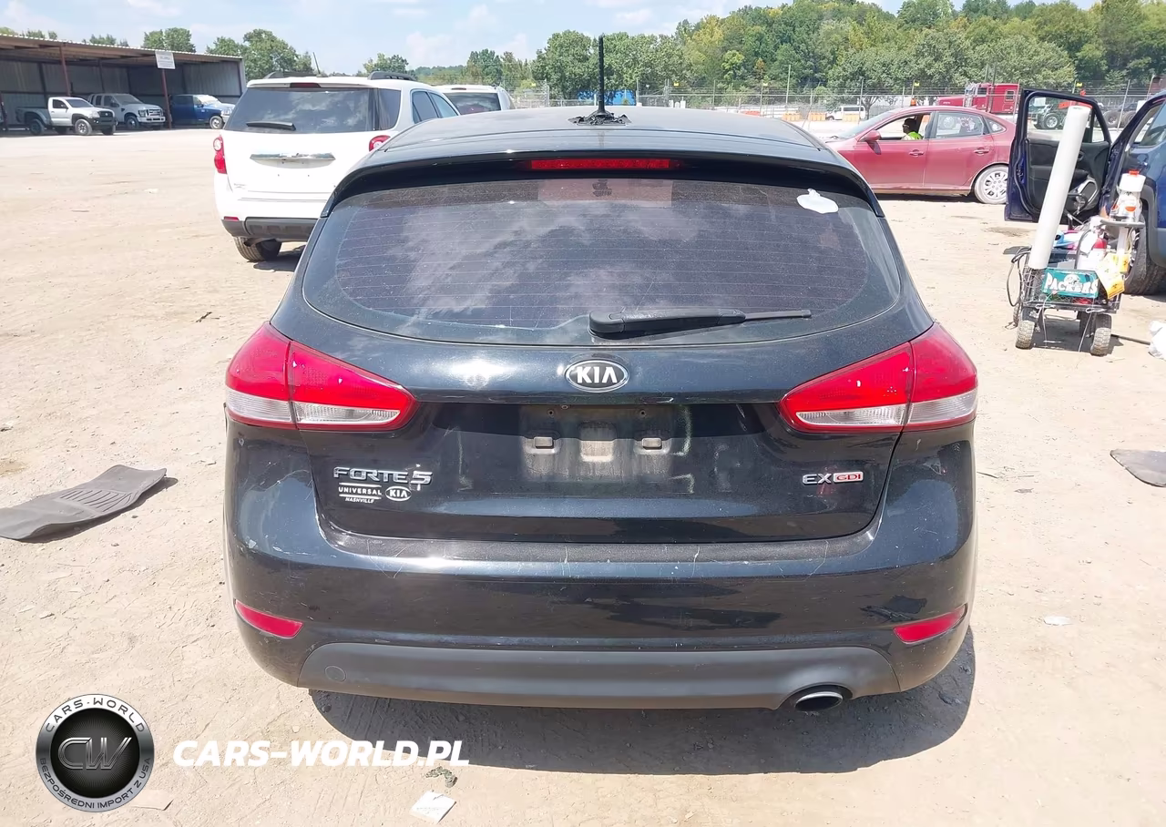 2016 Kia Forte Ex VIN:KNAFX5A89G5493078 - 16