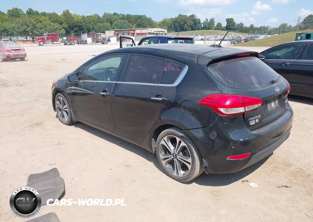 2016 Kia Forte Ex VIN:KNAFX5A89G5493078 - 3