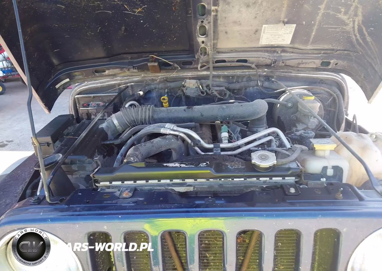 2005 Jeep Wrangler Sport VIN:1J4FA49S65P313131 - 10