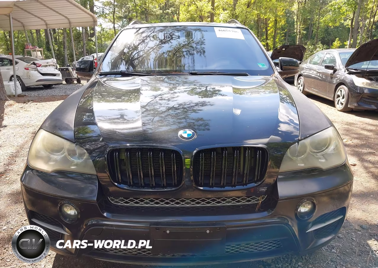 2013 BMW X5 xDrive35I-xDrive35I Premium-xDrive35I Sport Activity VIN:5UXZV4C57D0E11703 - 12