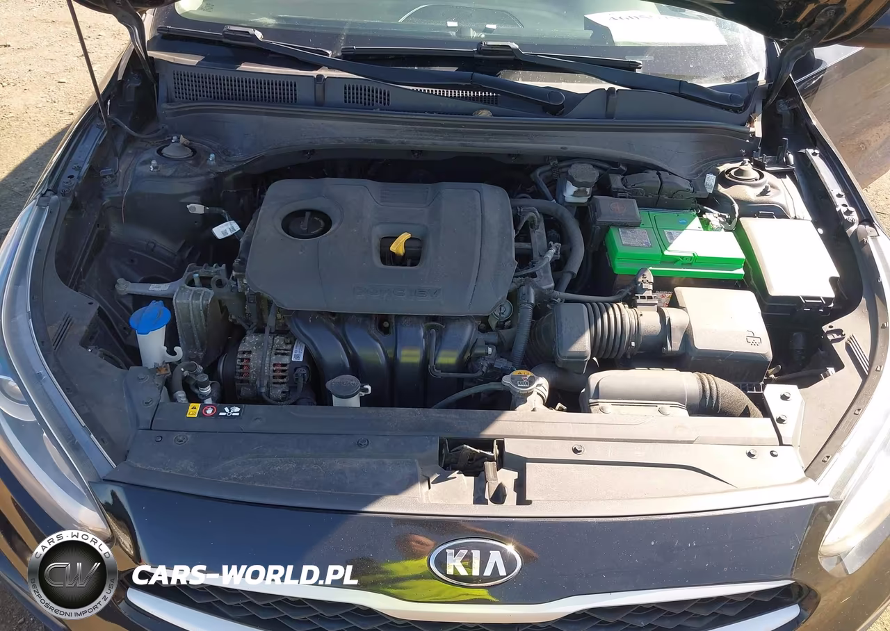 2019 Kia Forte Lxs VIN:3KPF24AD7KE007728 - 10