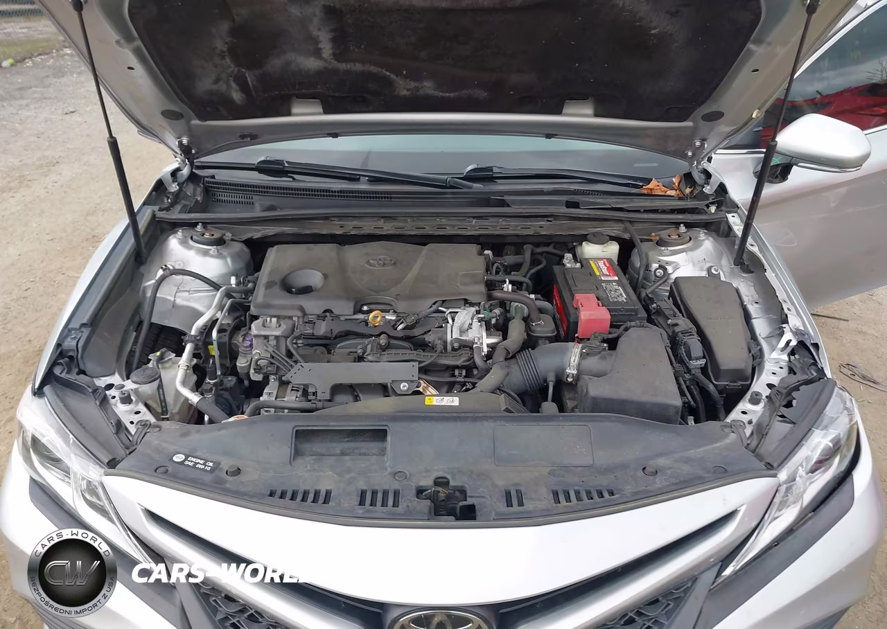 2018 Toyota Camry Se VIN:4T1B11HK8JU521622 - 10