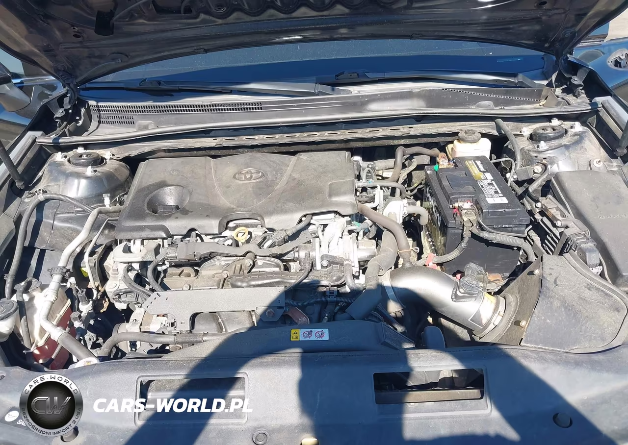 2018 Toyota Camry Xse VIN:4T1B61HK2JU523688 - 10