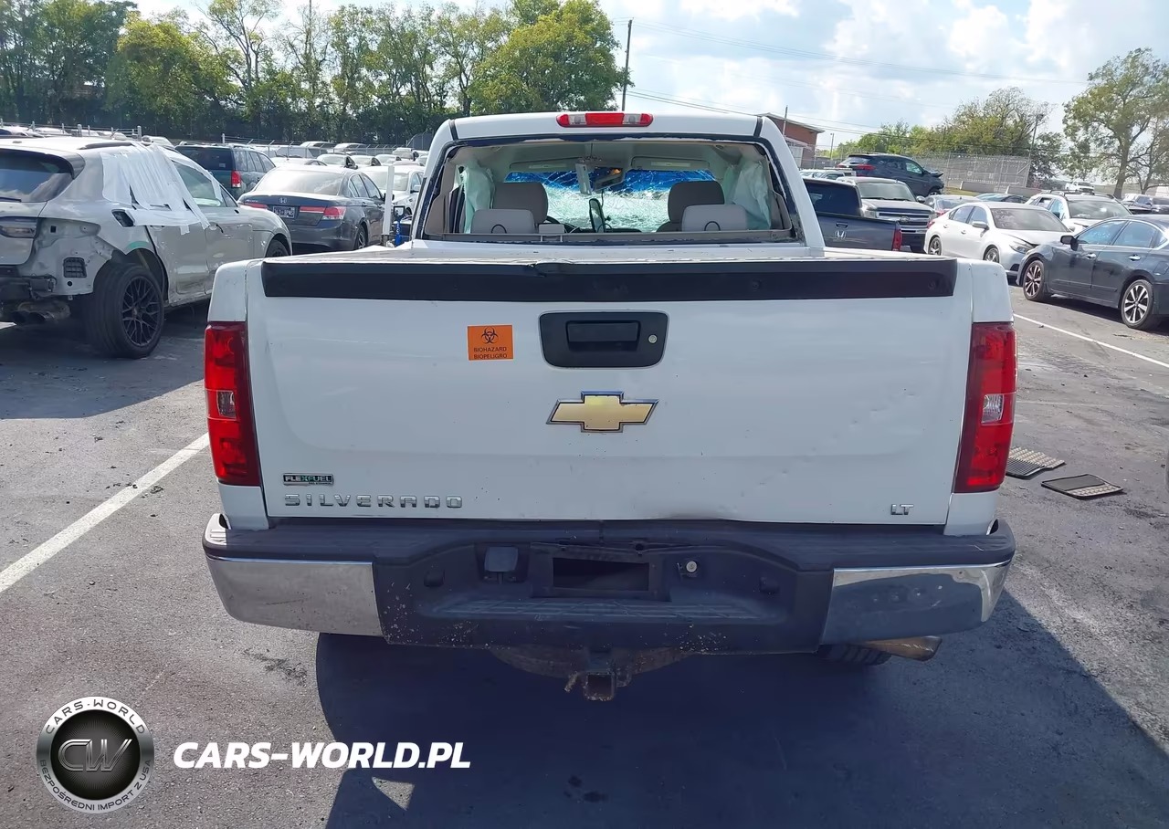 2010 Chevrolet Silverado 1500 Lt VIN:3GCRCSE08AG168355 - 15