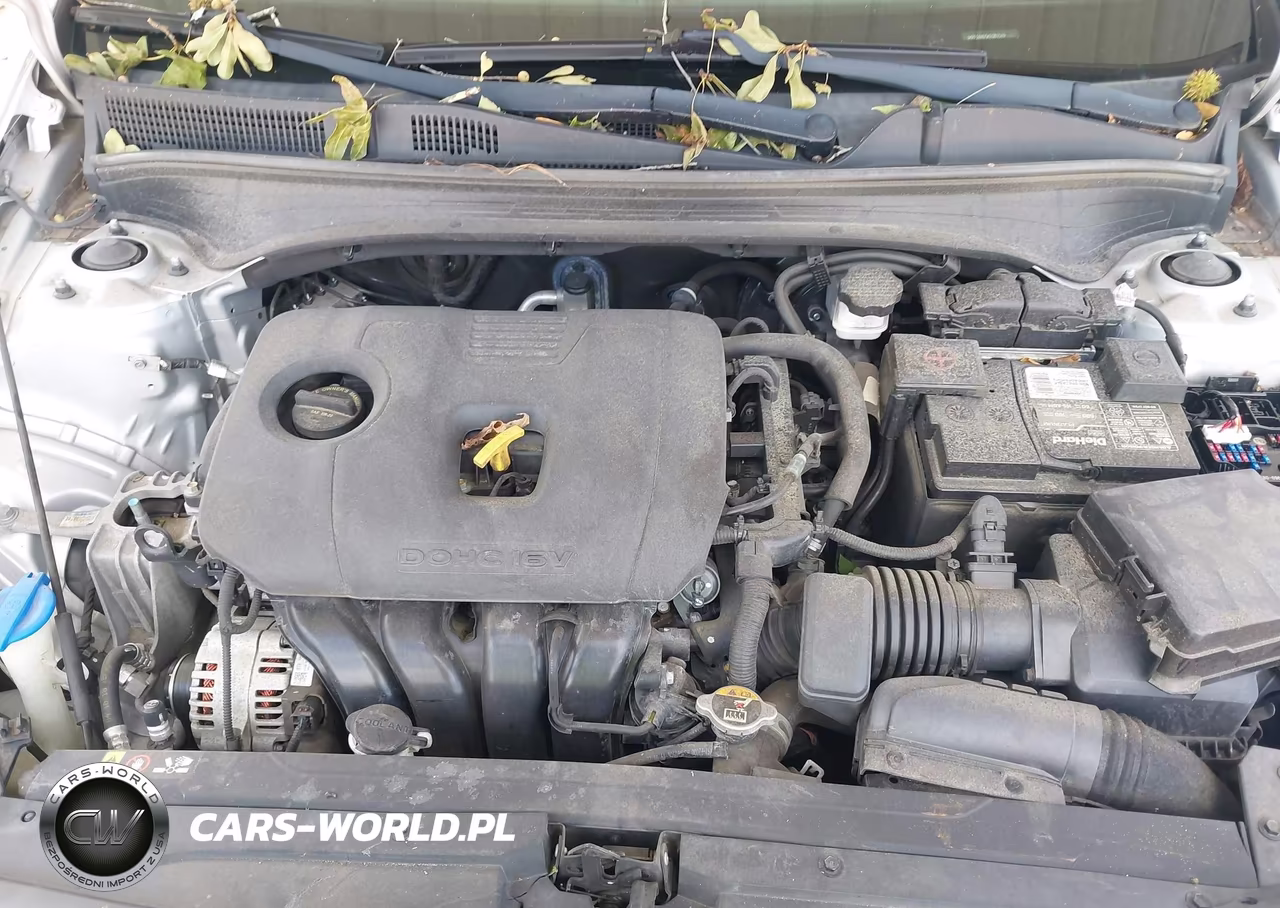 2019 Kia Forte Lxs VIN:3KPF24AD5KE081519 - 10