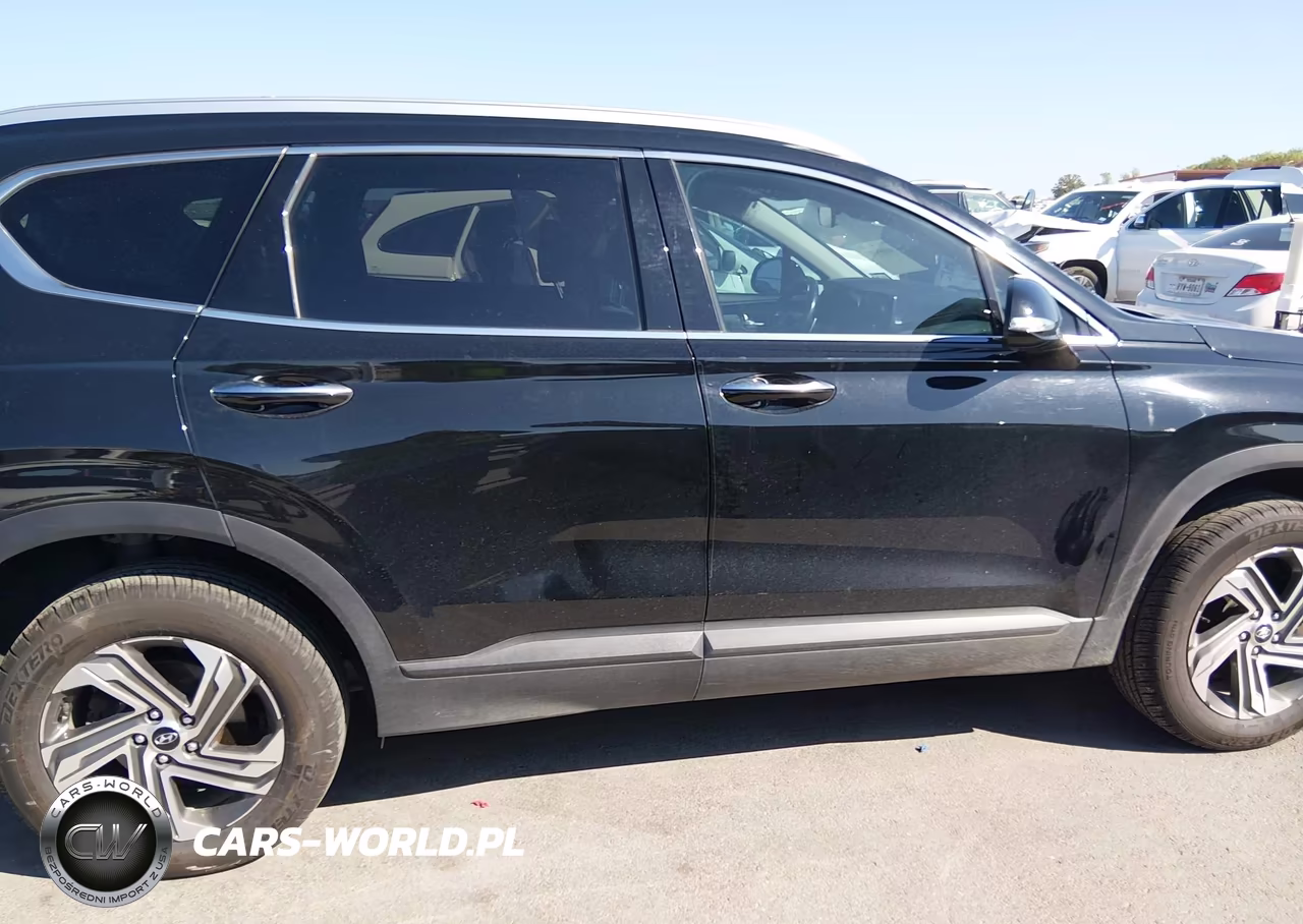 2023 Hyundai Santa Fe Sel VIN:5NMS2DAJ8PH503836 - 13
