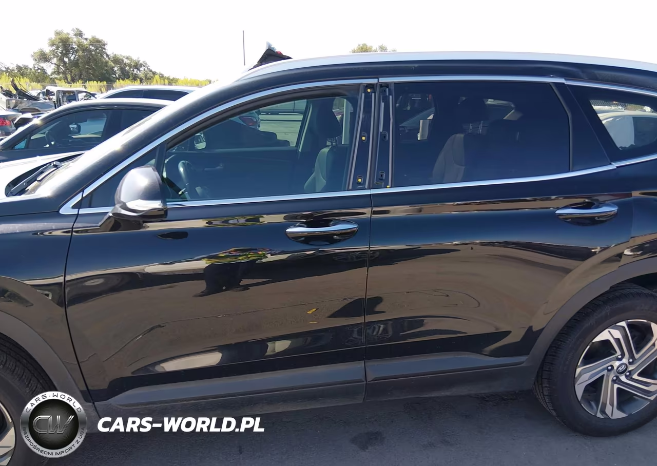 2023 Hyundai Santa Fe Sel VIN:5NMS2DAJ8PH503836 - 14