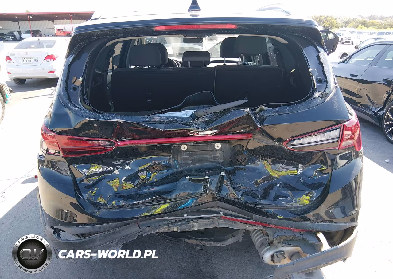 2023 Hyundai Santa Fe Sel VIN:5NMS2DAJ8PH503836 - 16