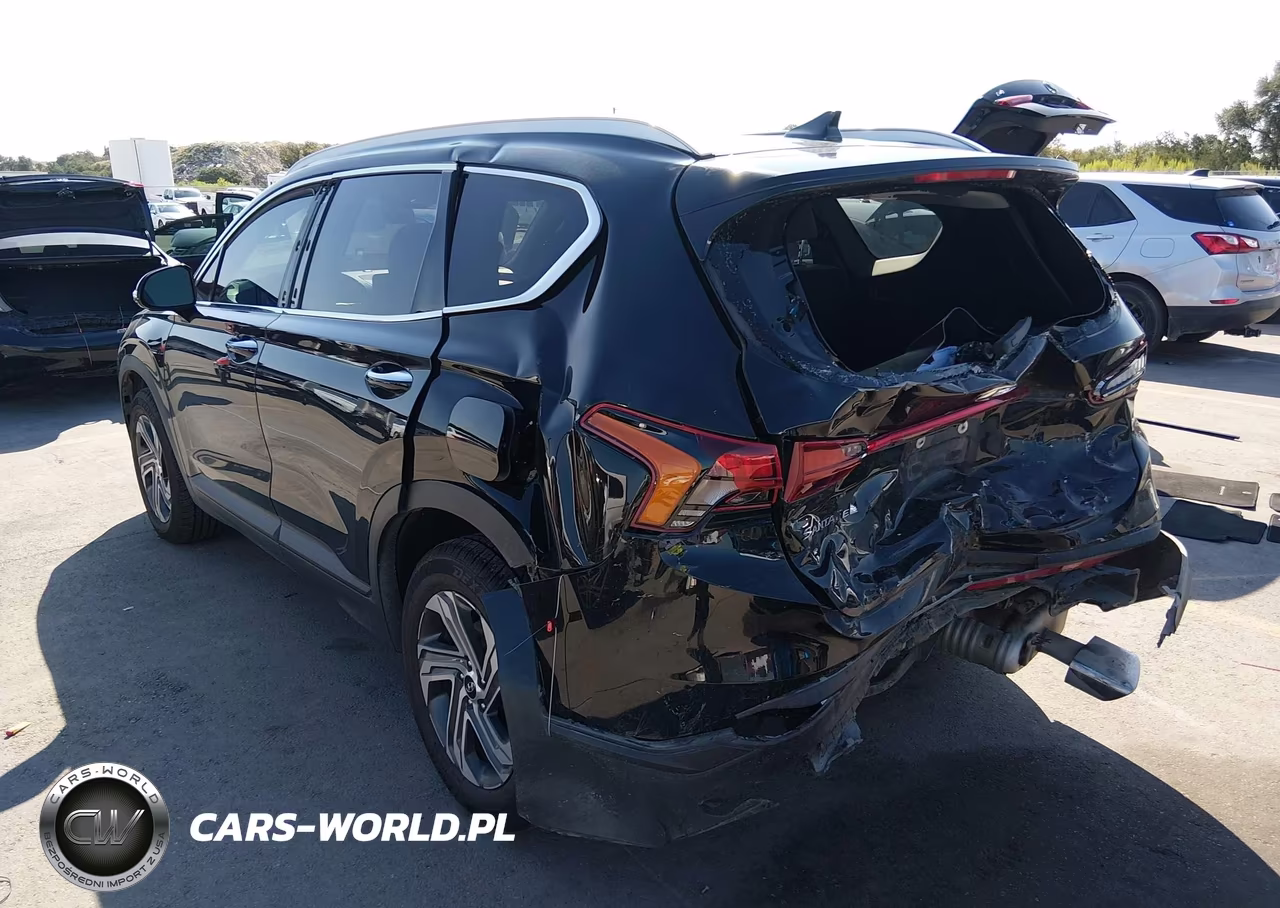 2023 Hyundai Santa Fe Sel VIN:5NMS2DAJ8PH503836 - 3