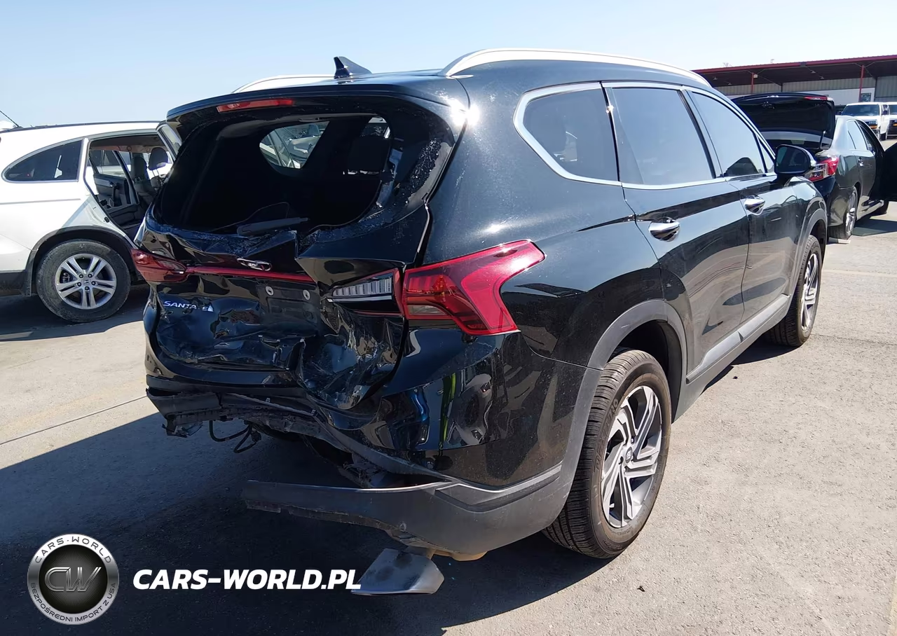 2023 Hyundai Santa Fe Sel VIN:5NMS2DAJ8PH503836 - 4
