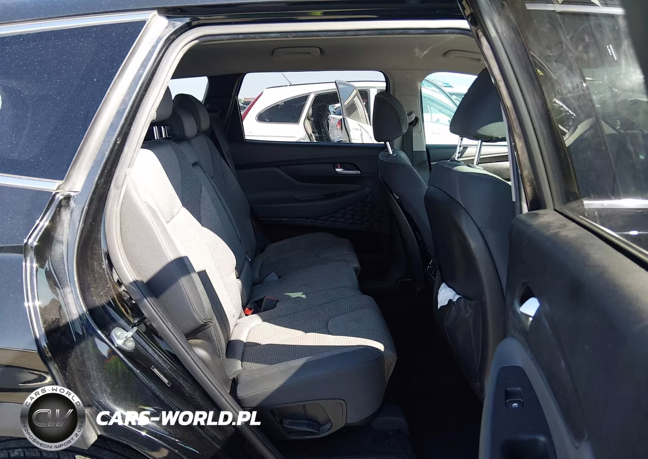 2023 Hyundai Santa Fe Sel VIN:5NMS2DAJ8PH503836 - 8