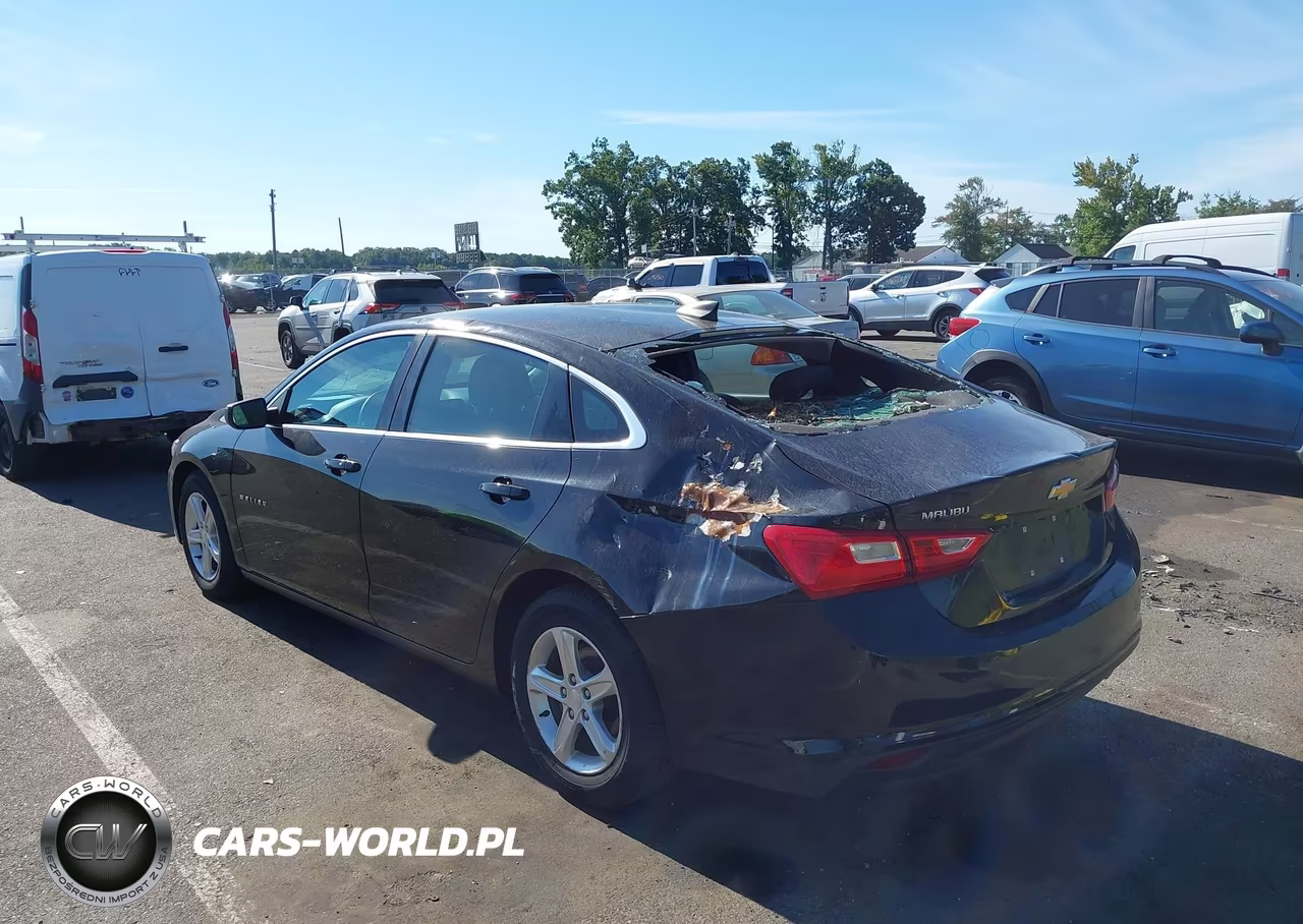 2019 Chevrolet Malibu 1Ls VIN:1G1ZB5ST5KF191607 - 3