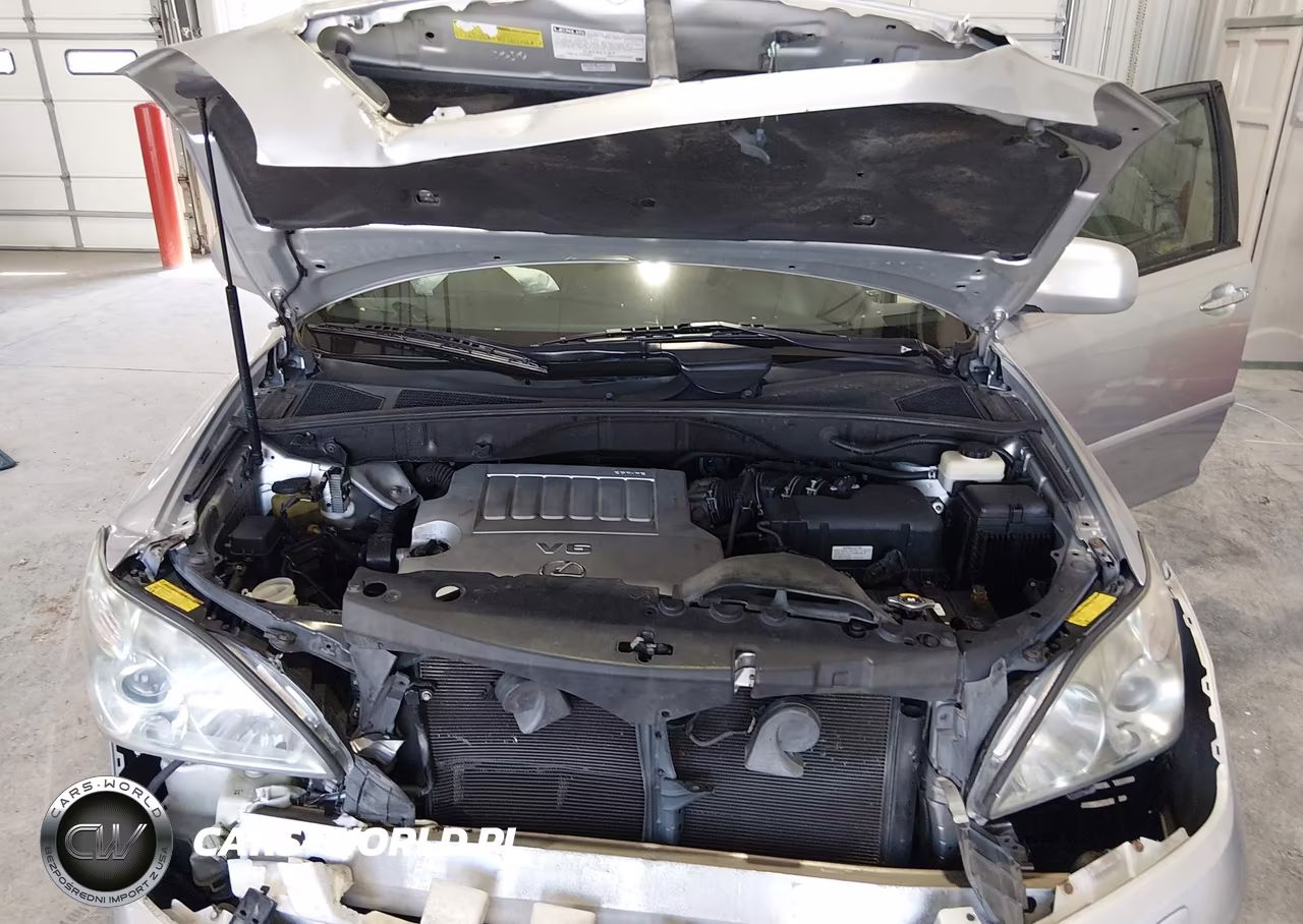 2009 Lexus Rx 350 VIN:2T2GK31U69C064845 - 10