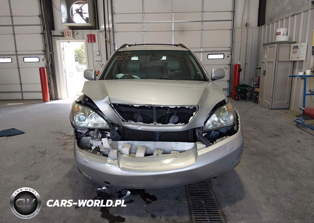 2009 Lexus Rx 350 VIN:2T2GK31U69C064845 - 12