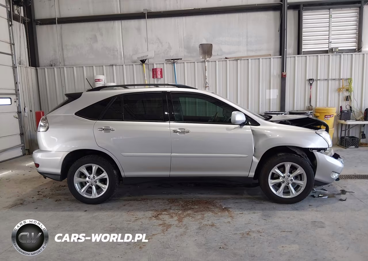 2009 Lexus Rx 350 VIN:2T2GK31U69C064845 - 13