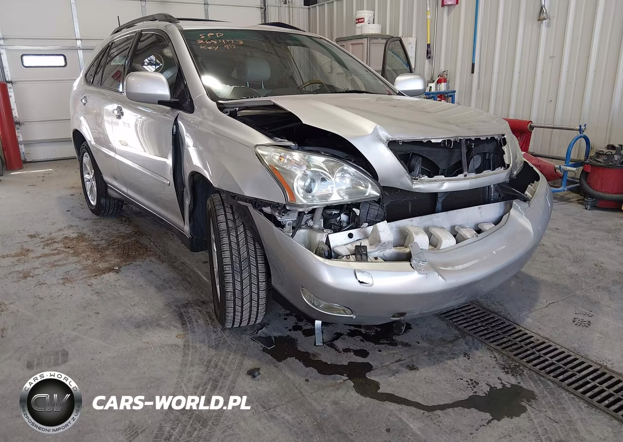 2009 Lexus Rx 350 VIN:2T2GK31U69C064845 - 6