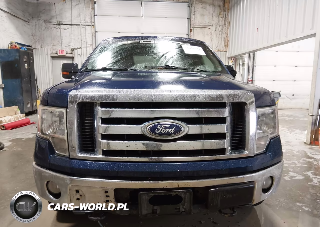 2009 Ford F-150 Xlt VIN:1FTPW14V29KC90106 - 12