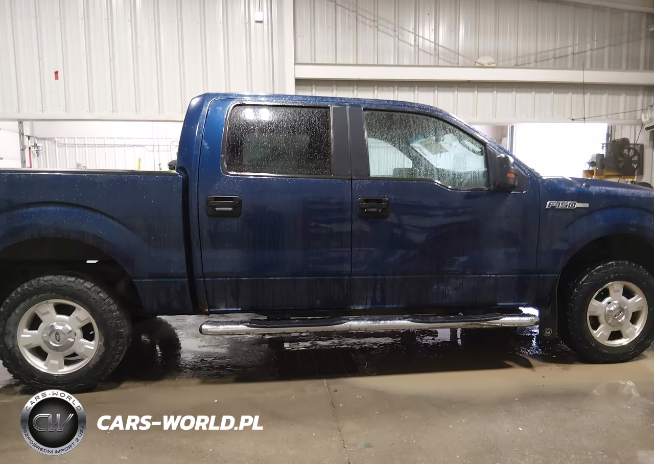 2009 Ford F-150 Xlt VIN:1FTPW14V29KC90106 - 13