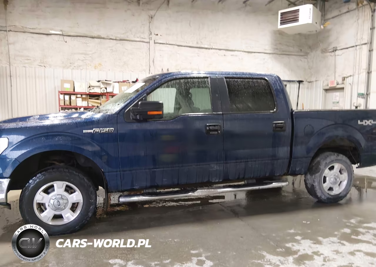 2009 Ford F-150 Xlt VIN:1FTPW14V29KC90106 - 14