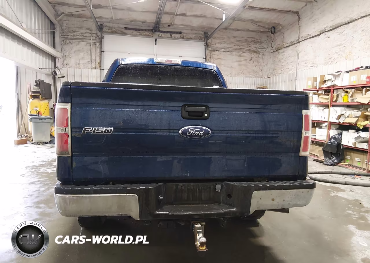 2009 Ford F-150 Xlt VIN:1FTPW14V29KC90106 - 16