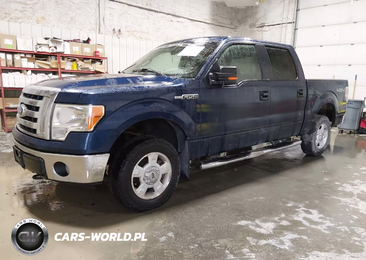 2009 Ford F-150 Xlt VIN:1FTPW14V29KC90106 - 2