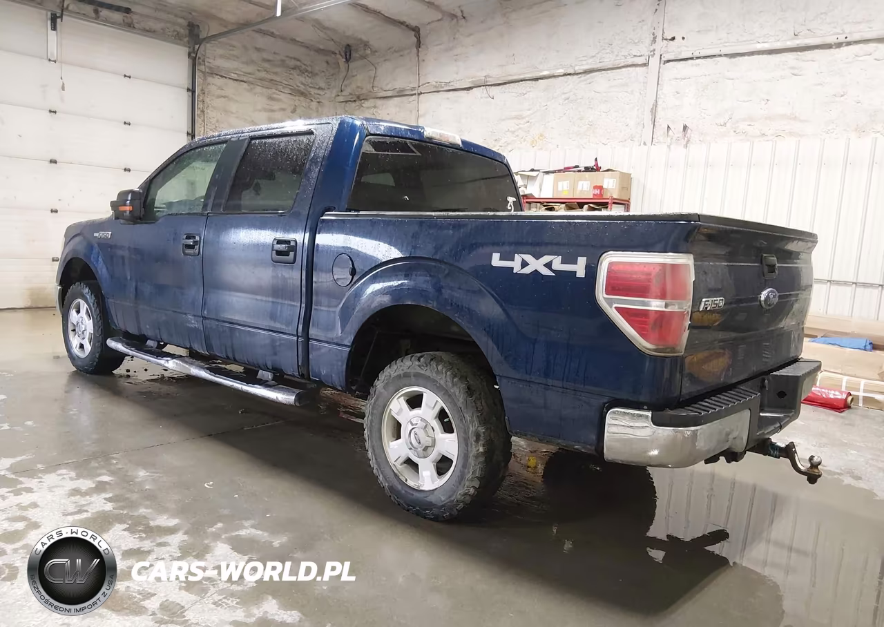2009 Ford F-150 Xlt VIN:1FTPW14V29KC90106 - 3