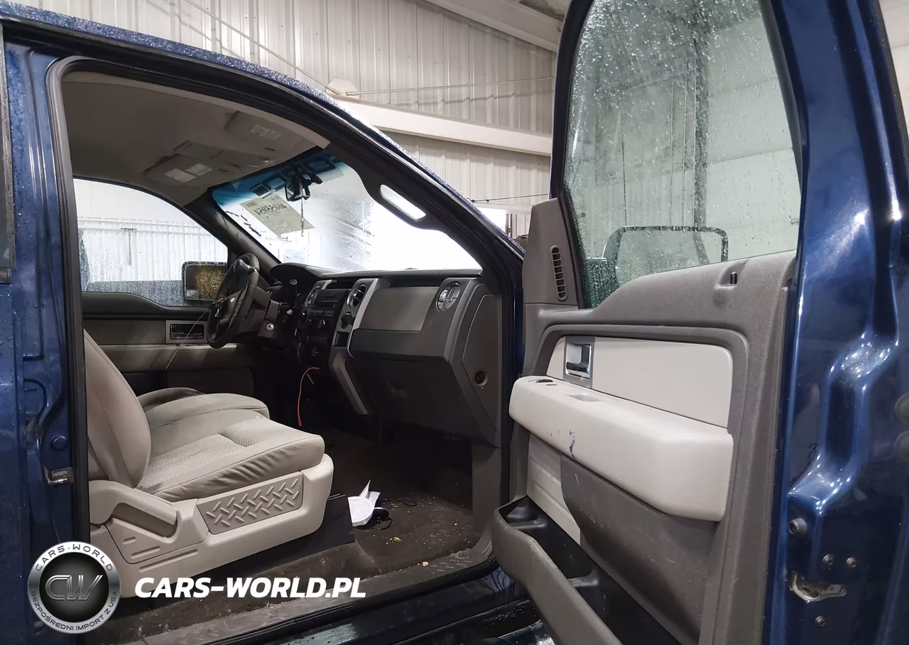 2009 Ford F-150 Xlt VIN:1FTPW14V29KC90106 - 5