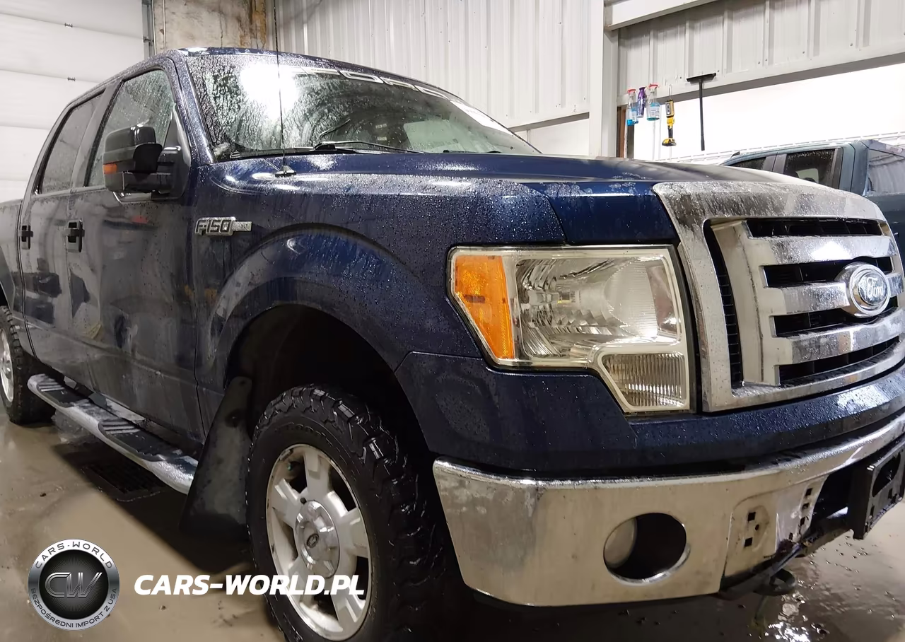 2009 Ford F-150 Xlt VIN:1FTPW14V29KC90106 - 6