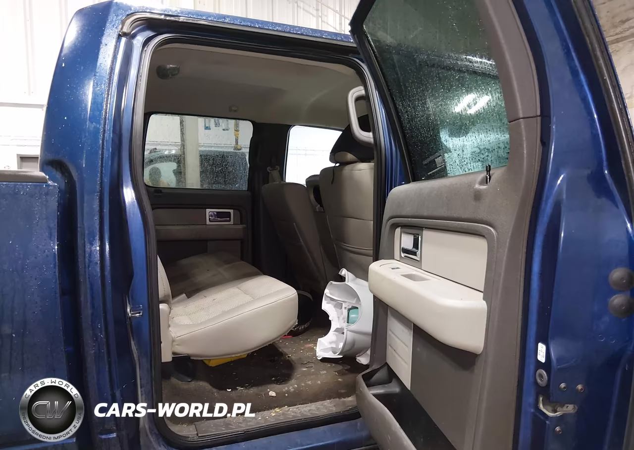 2009 Ford F-150 Xlt VIN:1FTPW14V29KC90106 - 8