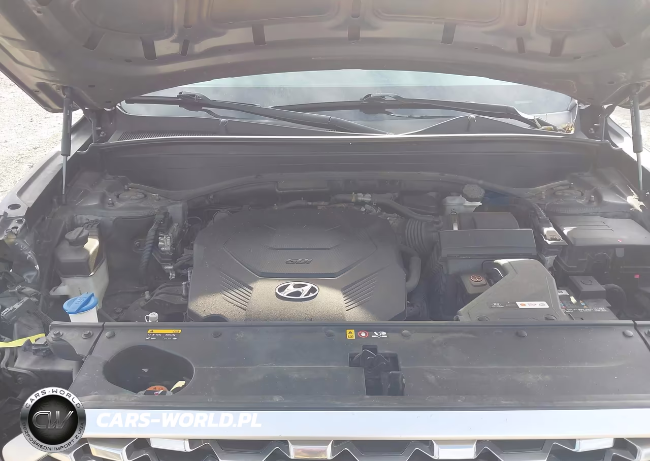 2020 Hyundai Palisade Sel VIN:KM8R4DHE5LU095280 - 10