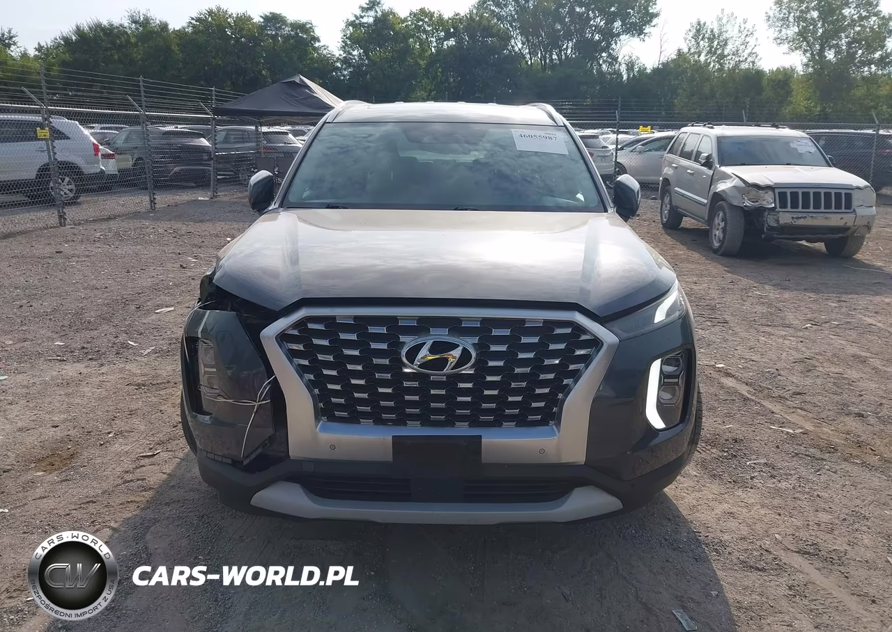 2020 Hyundai Palisade Sel VIN:KM8R4DHE5LU095280 - 13