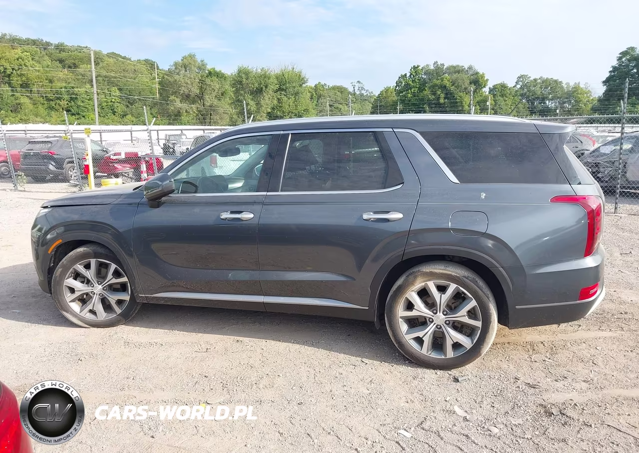 2020 Hyundai Palisade Sel VIN:KM8R4DHE5LU095280 - 15