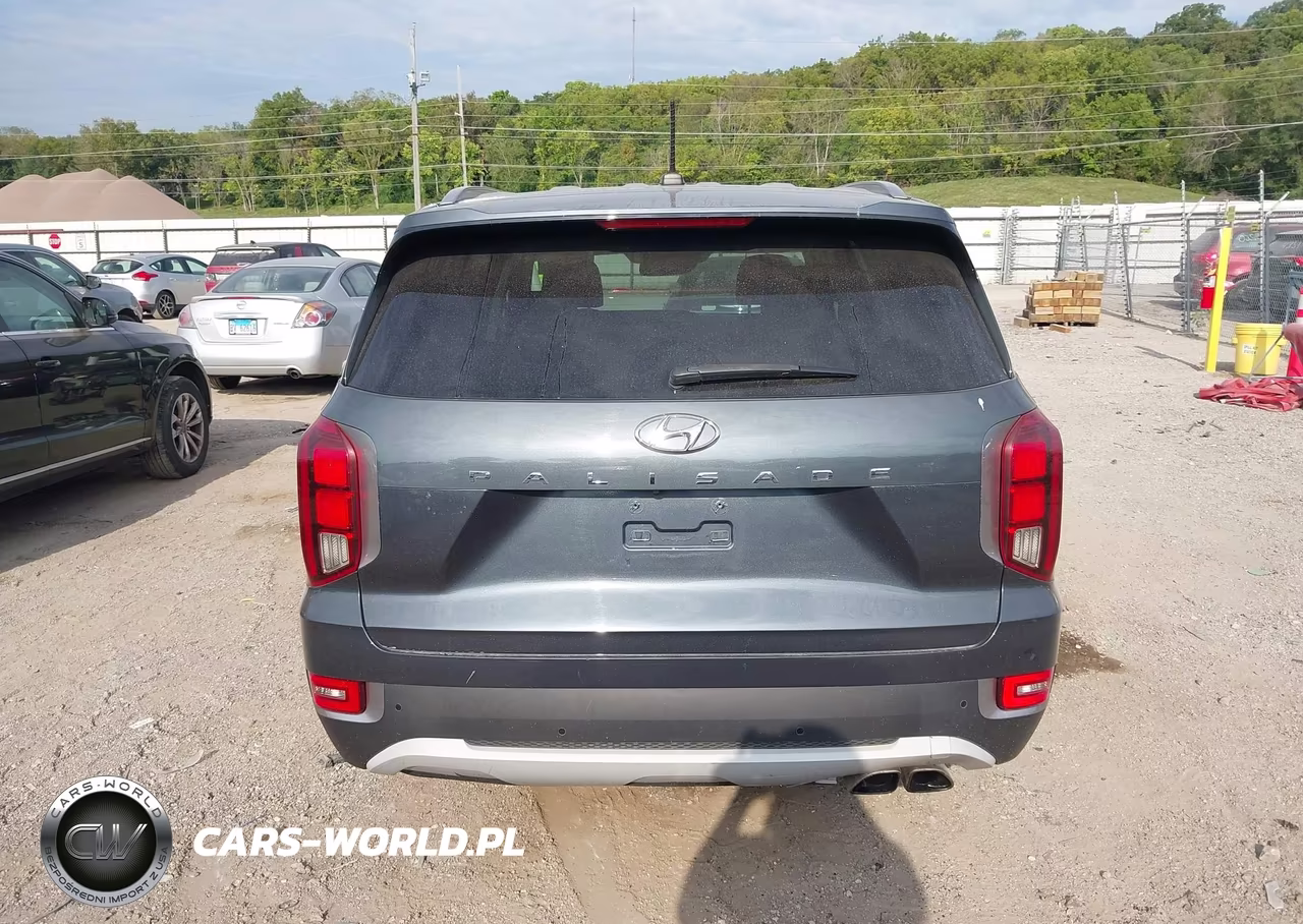 2020 Hyundai Palisade Sel VIN:KM8R4DHE5LU095280 - 17