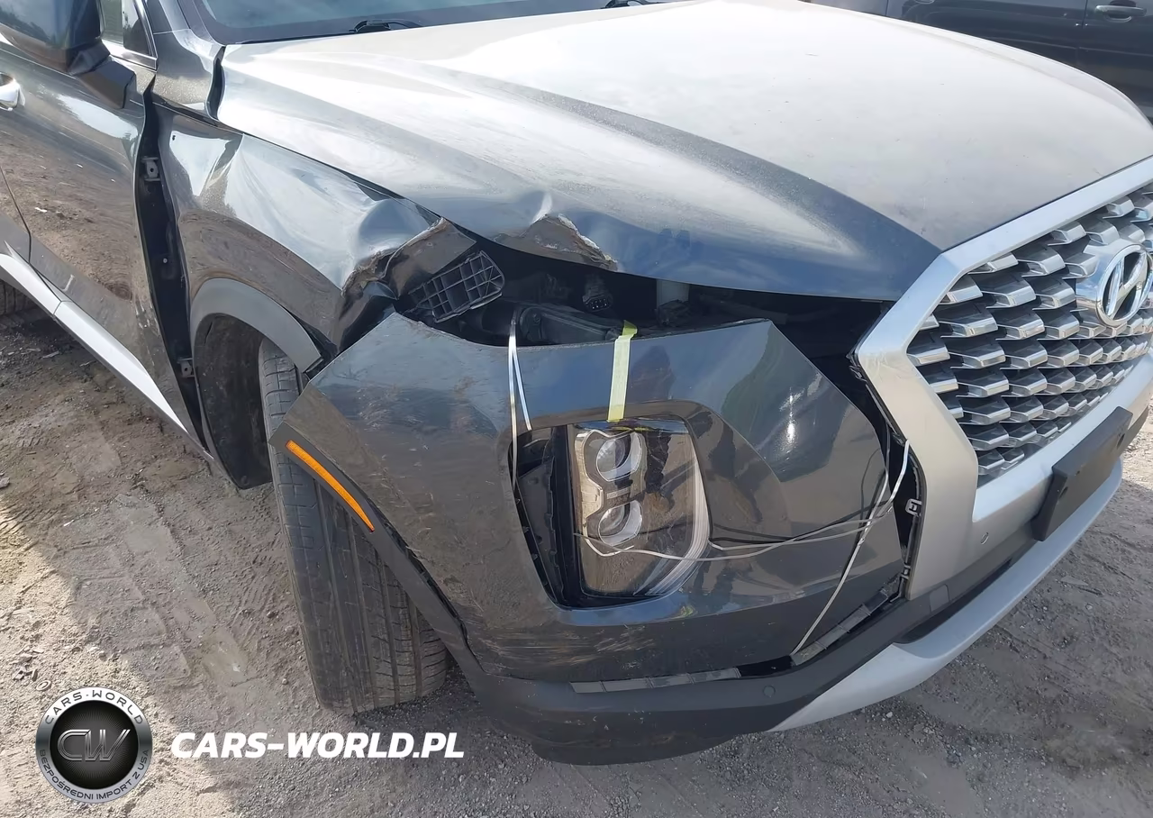 2020 Hyundai Palisade Sel VIN:KM8R4DHE5LU095280 - 18