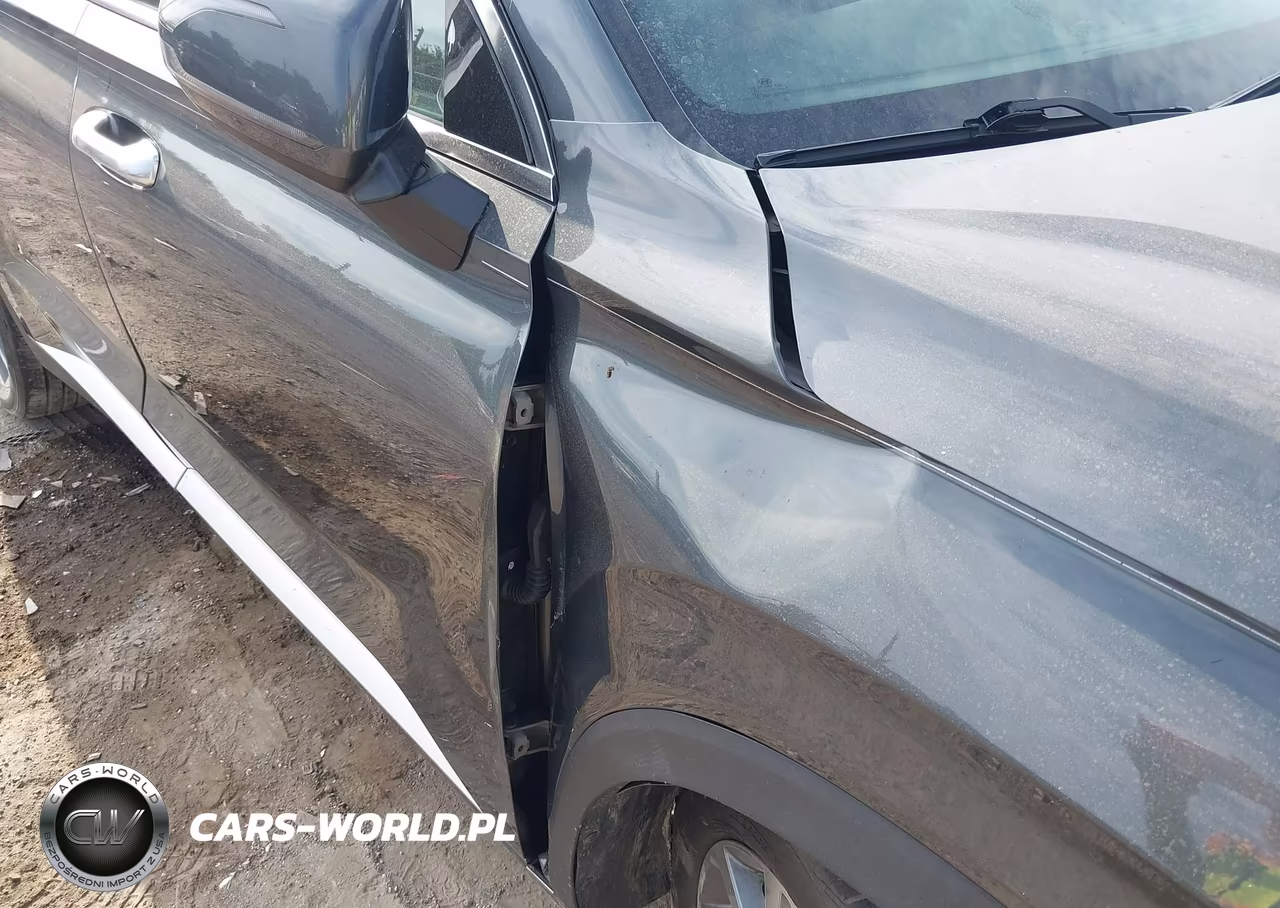 2020 Hyundai Palisade Sel VIN:KM8R4DHE5LU095280 - 19