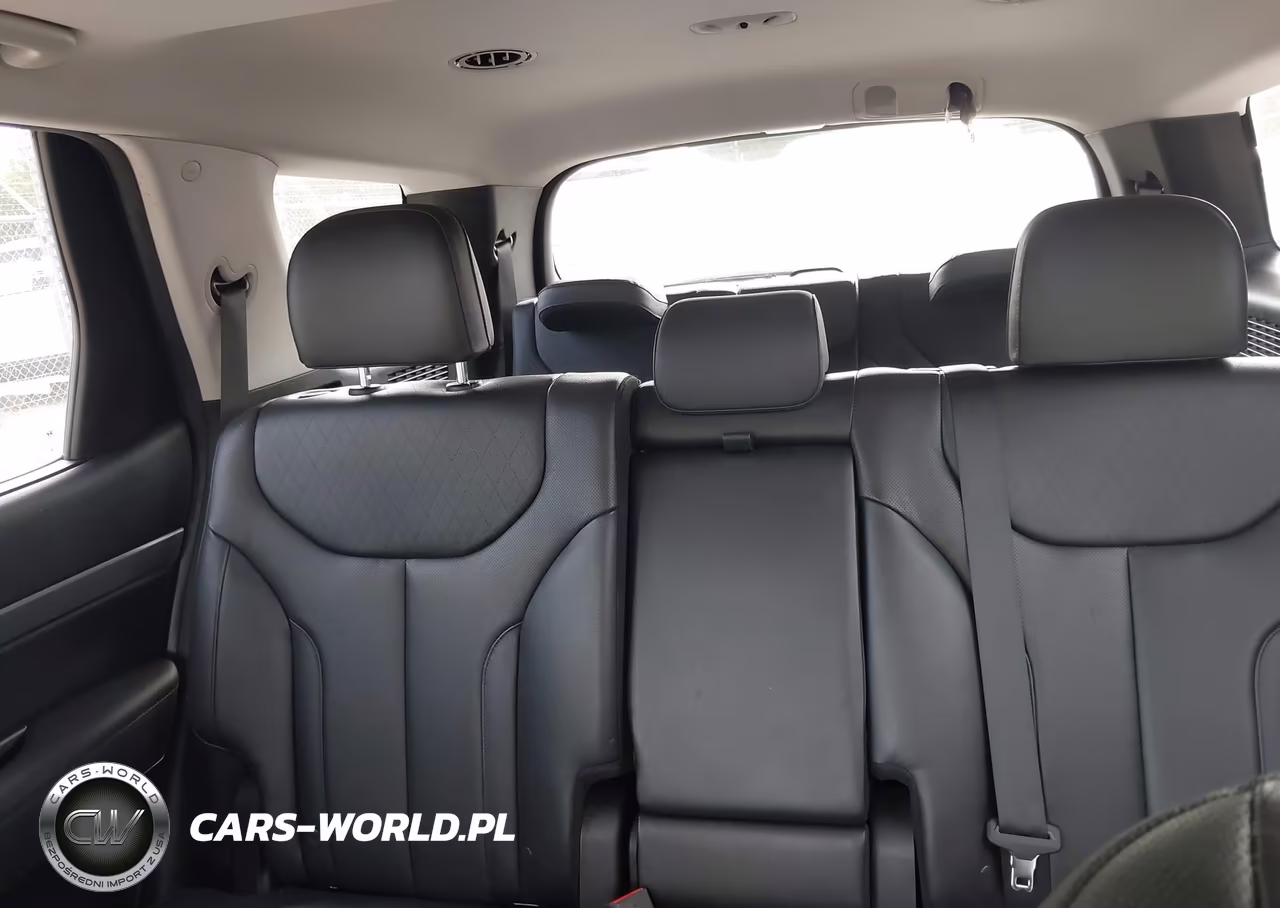 2020 Hyundai Palisade Sel VIN:KM8R4DHE5LU095280 - 20