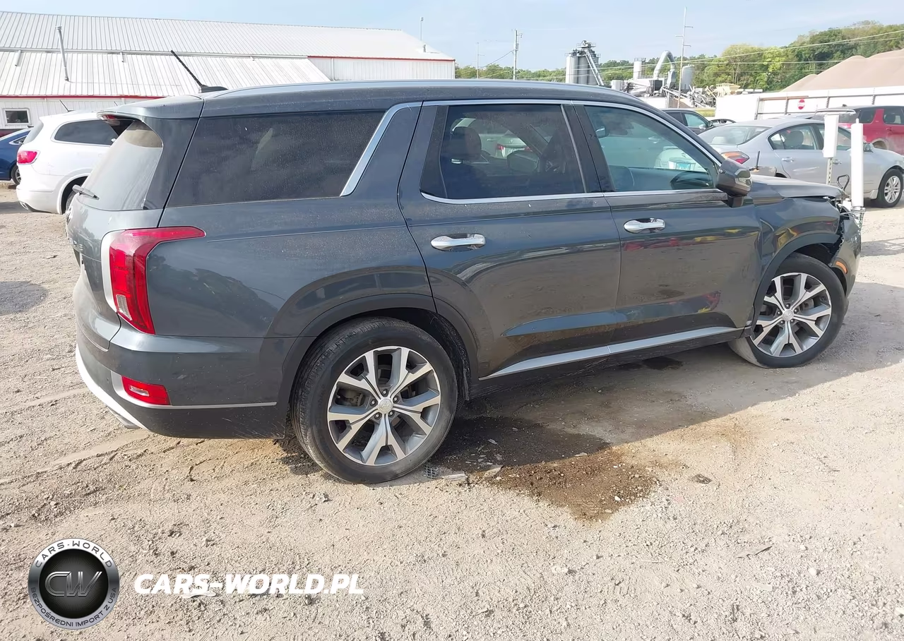 2020 Hyundai Palisade Sel VIN:KM8R4DHE5LU095280 - 4