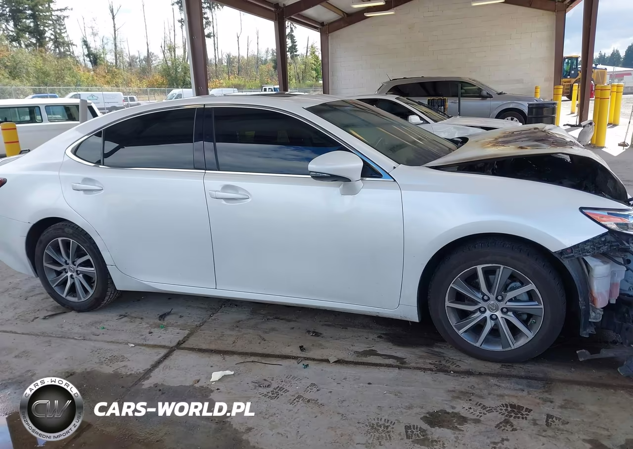 2016 Lexus Es 300H VIN:JTHBW1GG3G2125636 - 13