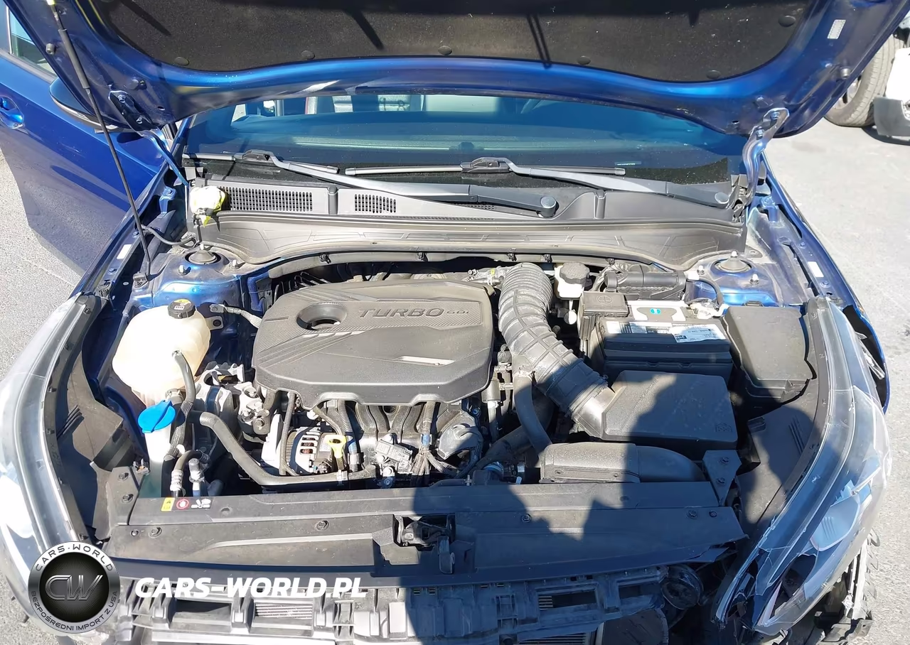 2021 Kia Forte Gt VIN:3KPF44AC0ME313836 - 10