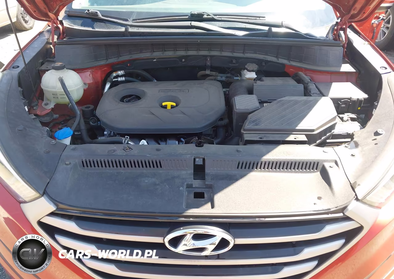 2017 Hyundai Tucson Se Plus VIN:KM8J3CA41HU443451 - 10