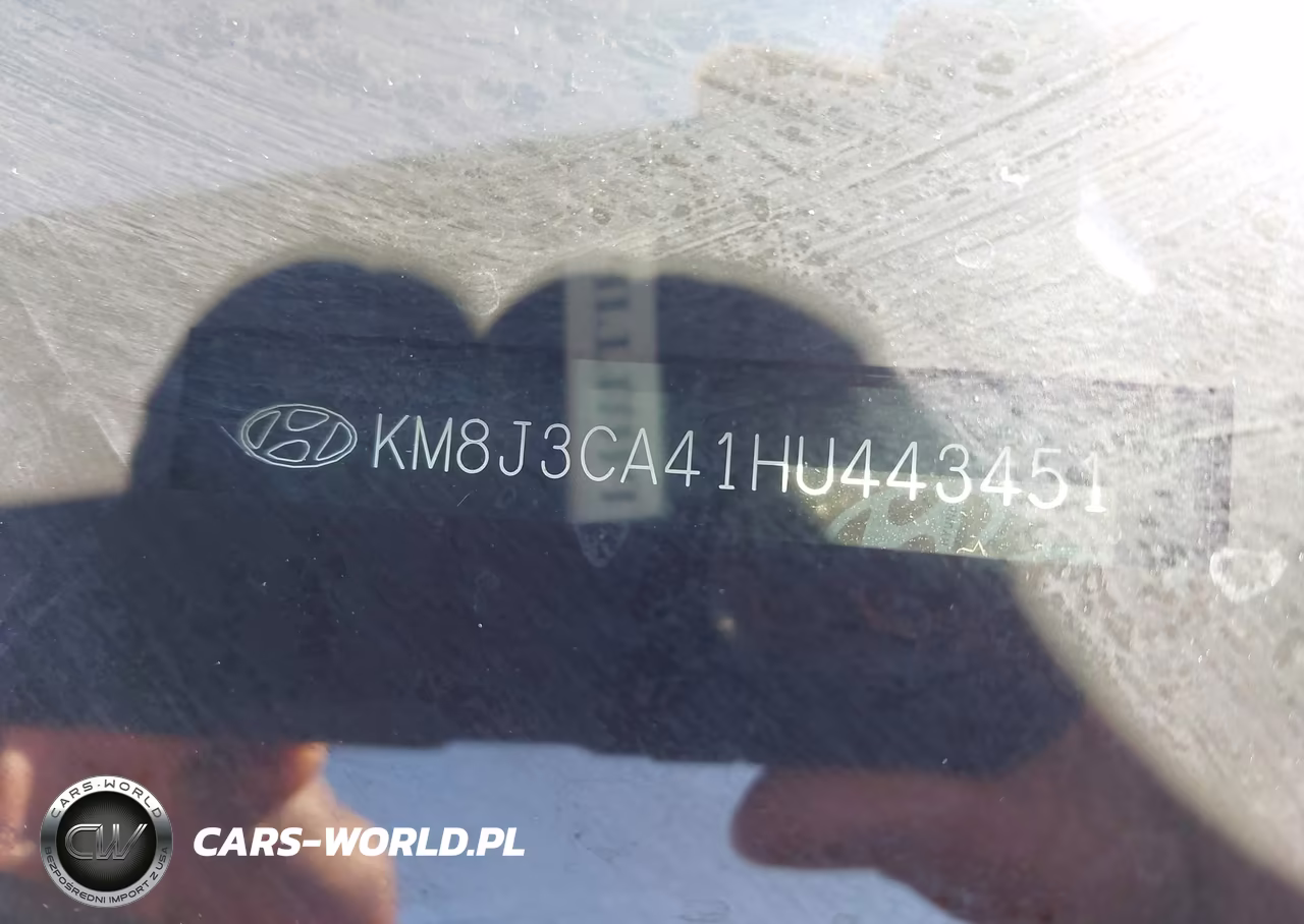 2017 Hyundai Tucson Se Plus VIN:KM8J3CA41HU443451 - 9