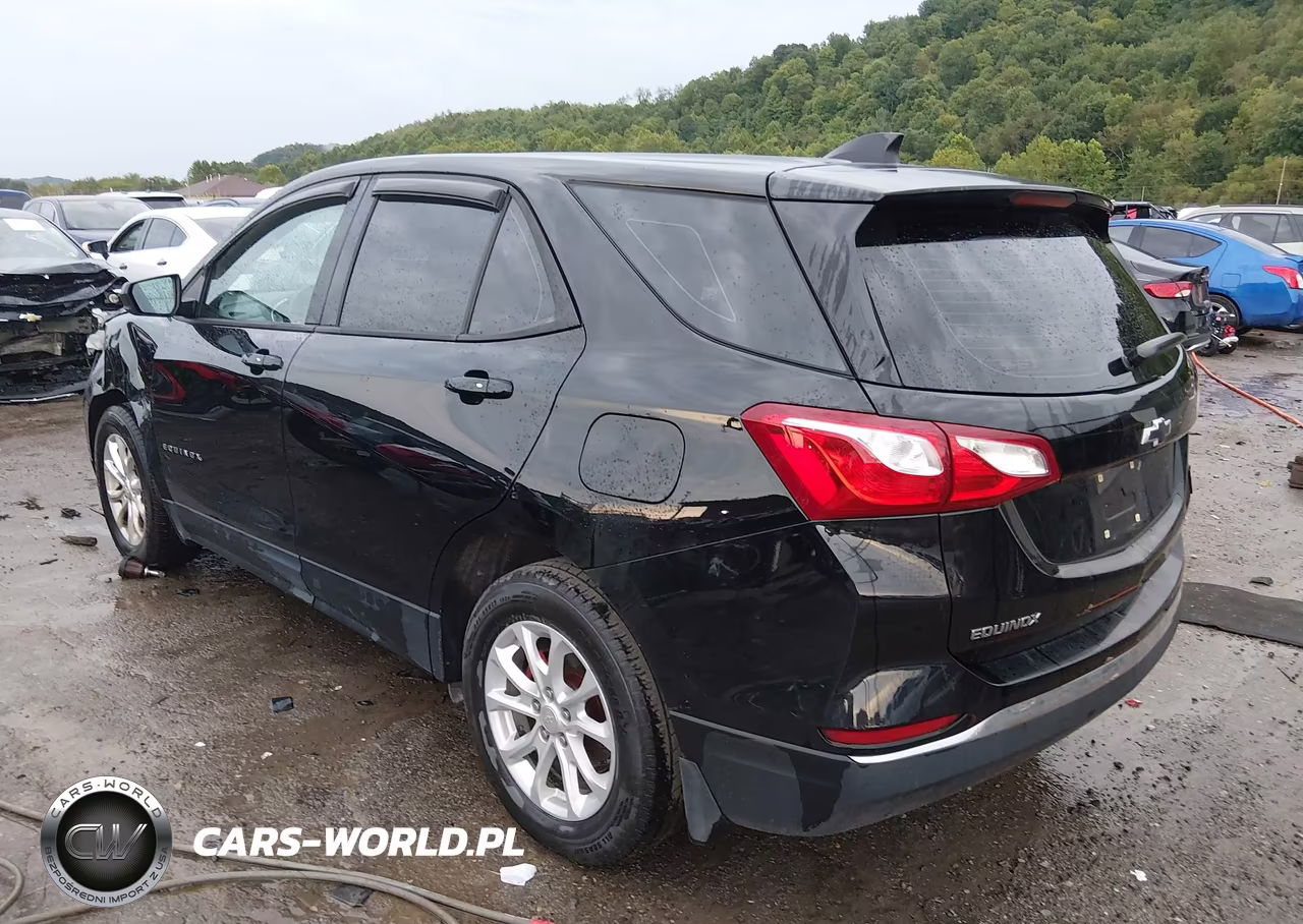 2018 Chevrolet Equinox Ls VIN:2GNAXREV2J6299810 - 3