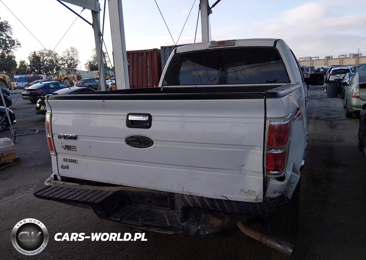 2010 Ford F-150 Fx4-Harley-Davidson-King Ranch-Lariat-Platinum-Xl-Xlt VIN:1FTFW1EV3AKA75719 - 12